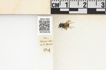 Media type: image;   Entomology 769578 Aspect: Labels